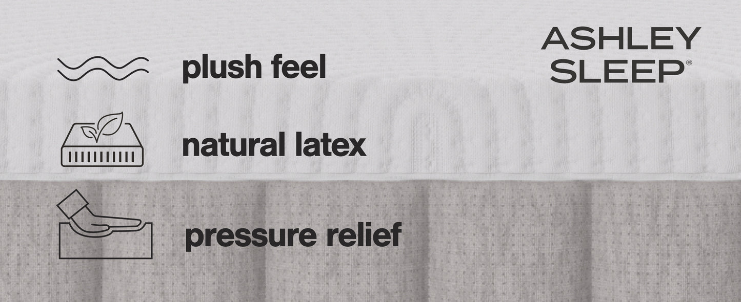 Terra Sleep Soft King Mattress