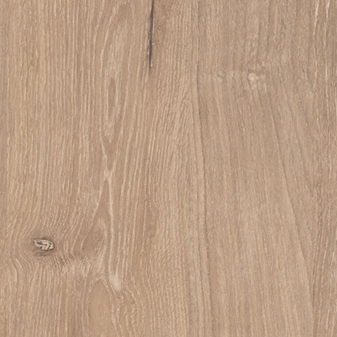 Cielden Twin Panel Bed