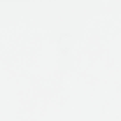 Bostwick Shoals Bedroom Mirror