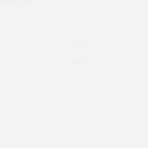 Bostwick Shoals Twin Panel Bed