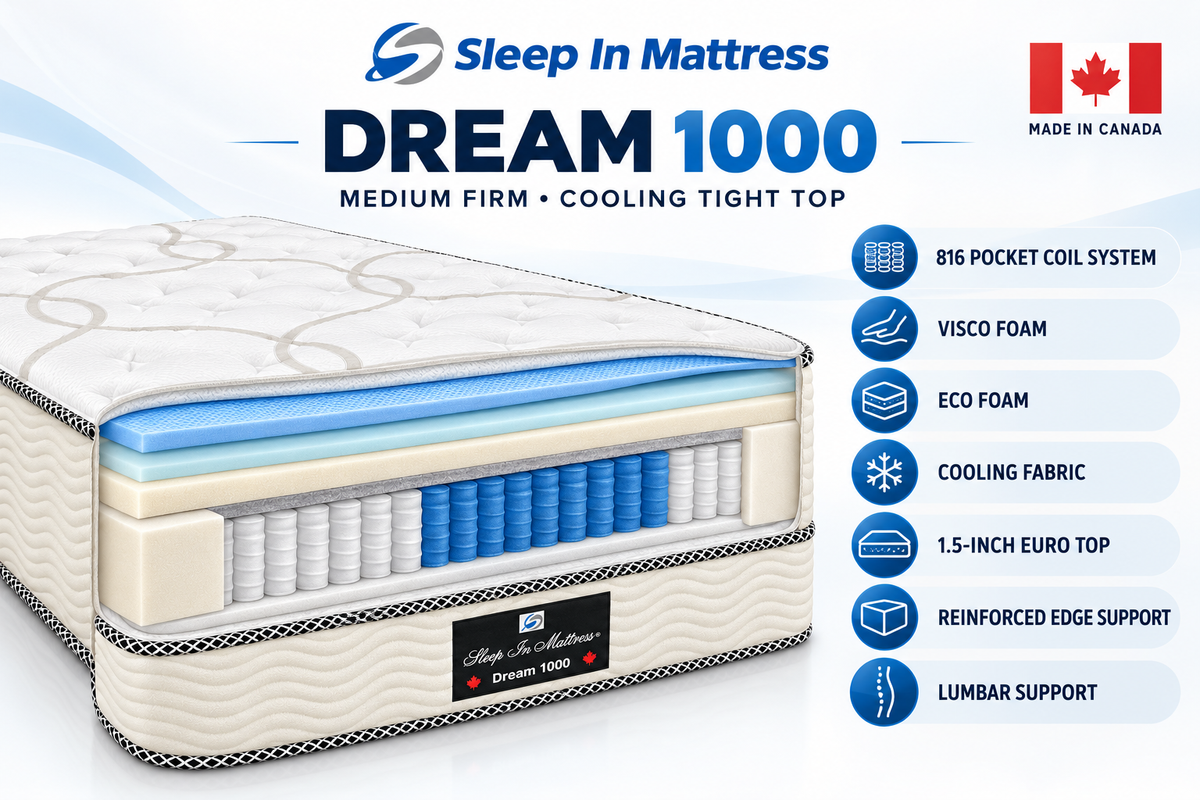Dream 1000