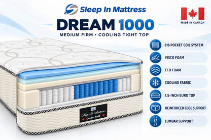 Dream 1000