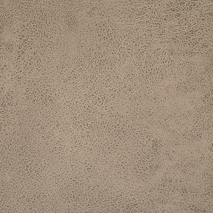 Tallenger Bar Height Bar Stool (Set of 2)