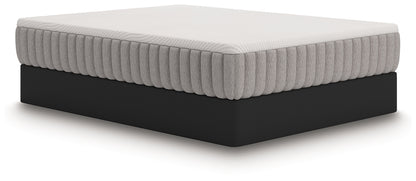 Terra Sleep Medium King Mattress