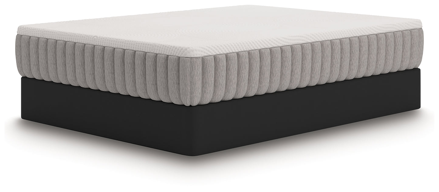 Terra Sleep Medium King Mattress
