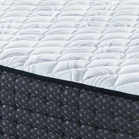 Limited Edition Firm Queen Mattress